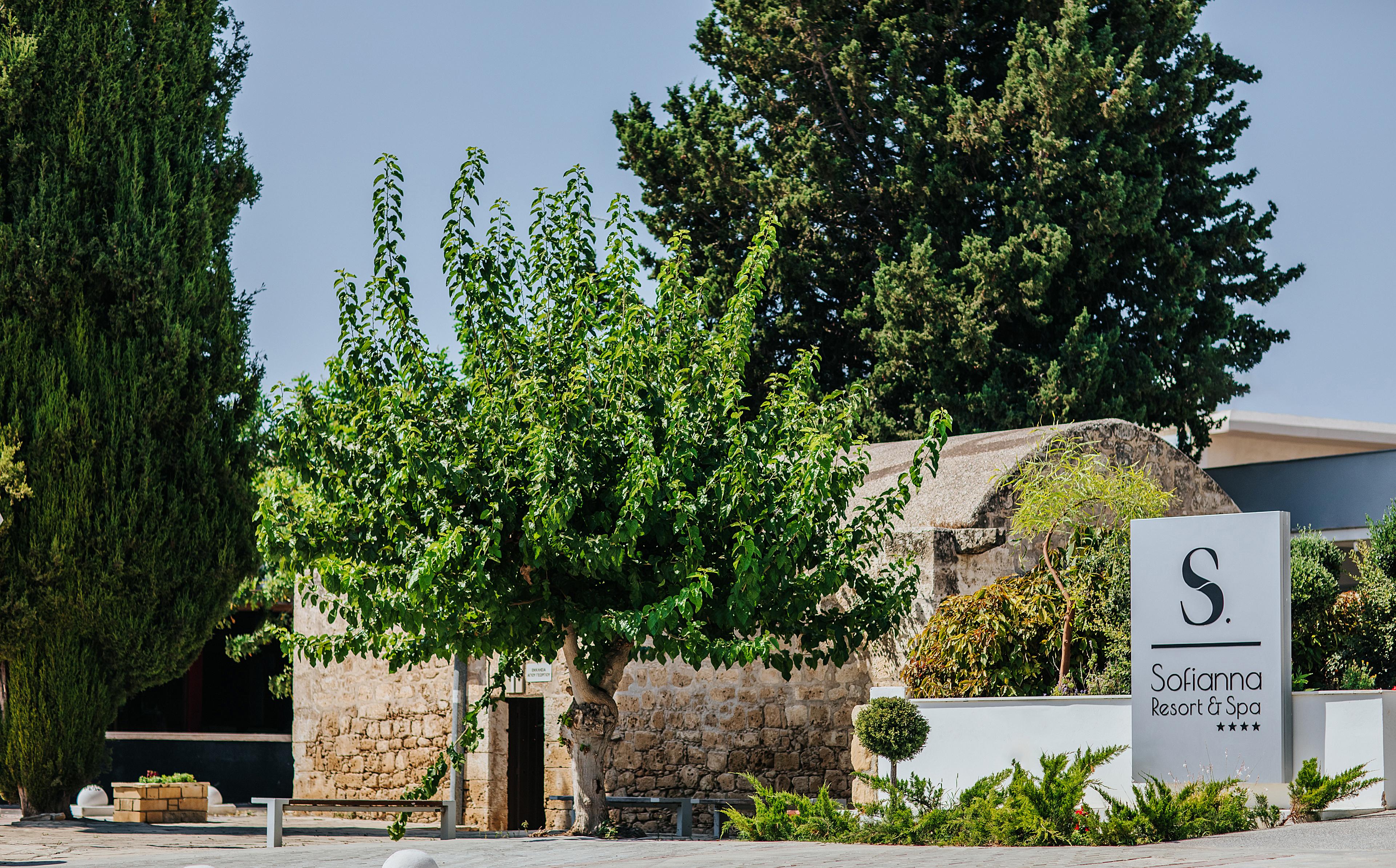 Sofianna Hotel Apartments Paphos ภายนอก รูปภาพ